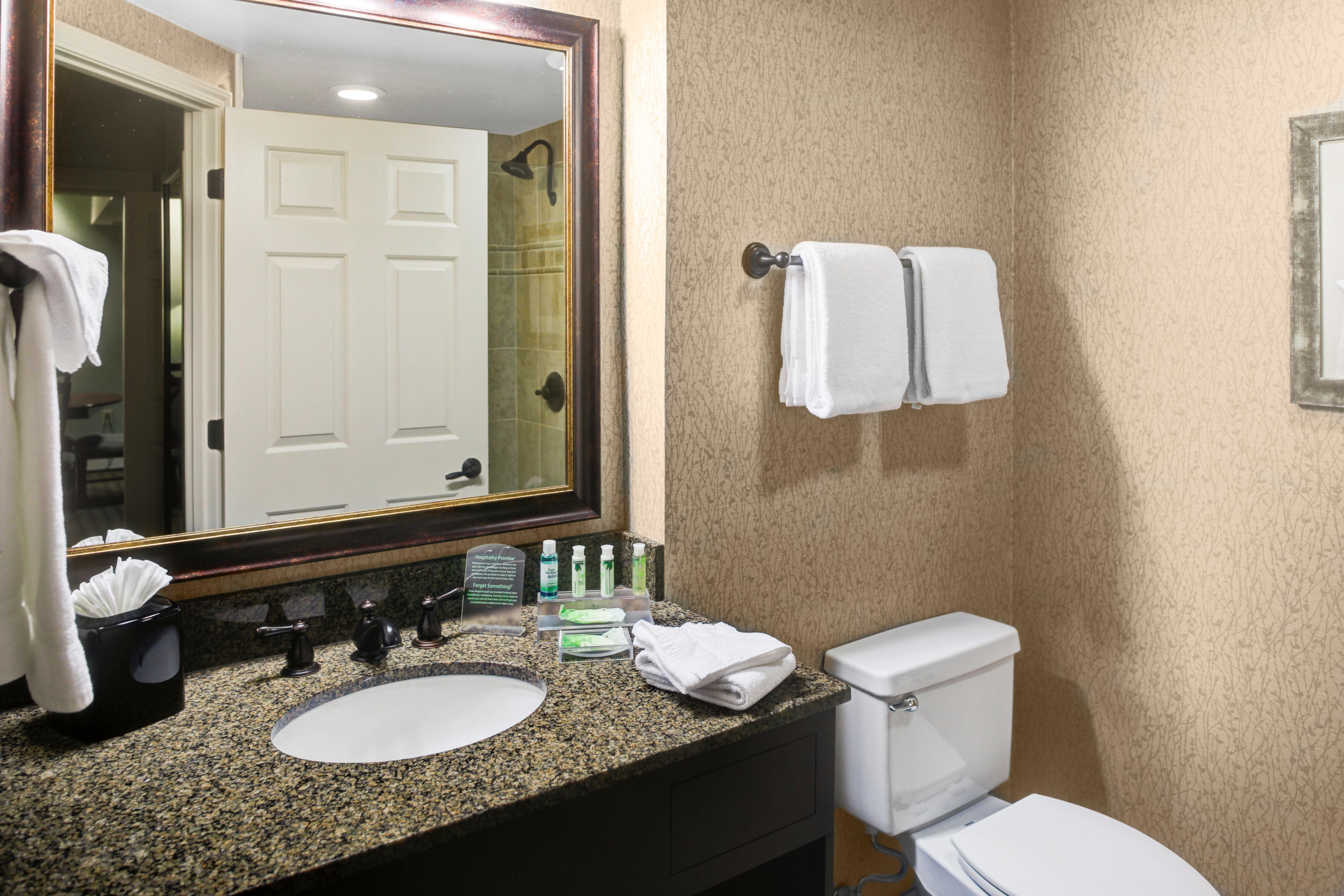Holiday Inn Express Hotel & Suites Atlanta Buckhead By Ihg Екстериор снимка